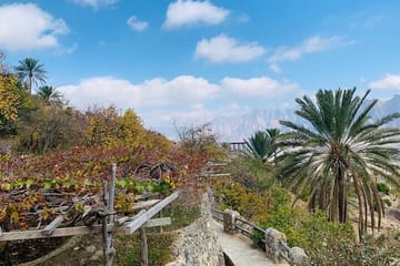 Wekan Village and Nakhal Fort Day Trip from Muscat