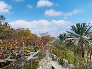 Wekan Village and Nakhal Fort Day Trip from Muscat