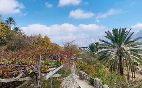 Wekan Village and Nakhal Fort Day Trip from Muscat