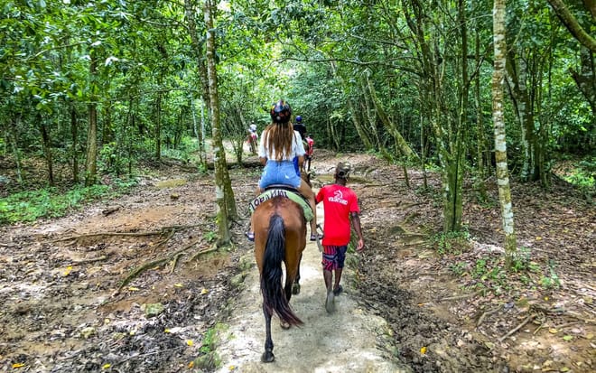 Punta Cana Guided Tour to Waterfall El Limon and Bacardi Island 3