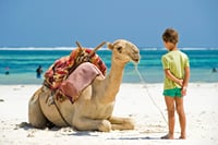 Tangier city break : Scenic Drive and Camel Trek 3