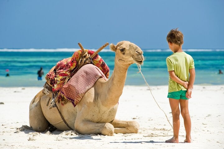 Tangier city break : Scenic Drive and Camel Trek 3