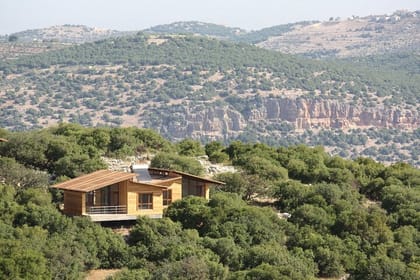1-Night Ajloun Forest Reserve from Amman
