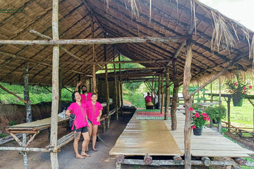 Chiang Mai: Elephant Sanctuary with Lunch Day Tours