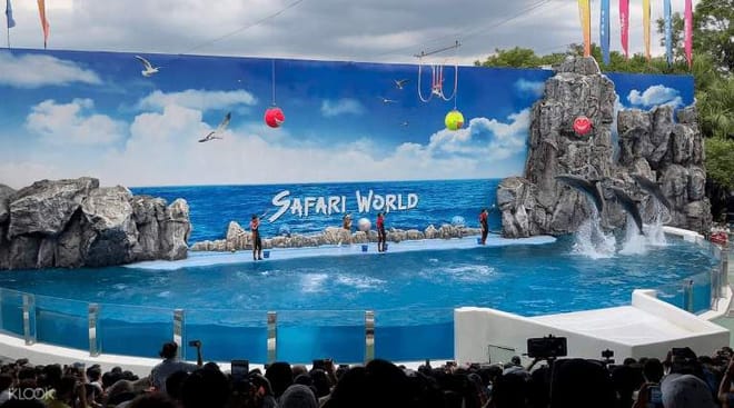 BANGKOK: Join Tour: Full Day Tour Safari World - Marine Park - Buffet Lunch with Private Transfer 9