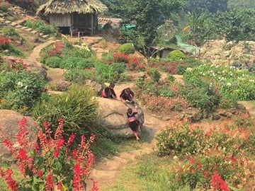 Chiang Mai Temples and City Tour with Cultural Insights