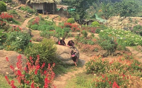 Chiang Mai Temples and City Tour with Cultural Insights