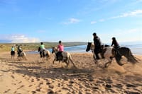 Horse riding in the Burren. Clare. Guided. 3 hours 9