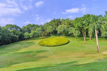 Guangzhou One-Day Cultural Tour: Chen Clan Hall and Baiyun Mountain