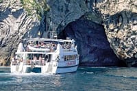 Mallorca Full Day Tour by Train, Tram and Boat 9