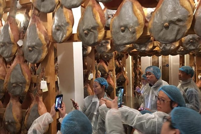 Small Group Parma Ham Farm tour photo 5