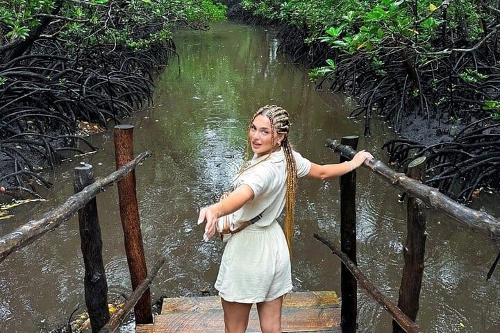 Explore Stone Town and Jozani Forest with Turtles Zanzibar 4
