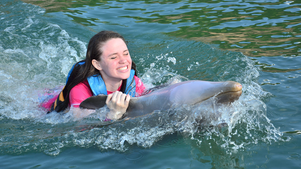 Dolphin Swim Adventure at St.Kitts 8