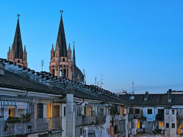 Private Guided Walking Tour of Historic Turin