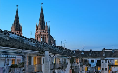 Private Guided Walking Tour of Historic Turin