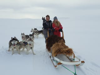 Family time on the dogsled