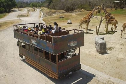 Africam Safari Tour from Puebla