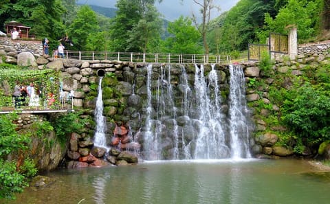 Full-Day Guided Tour of Sapanca and Masukiye from Istanbul