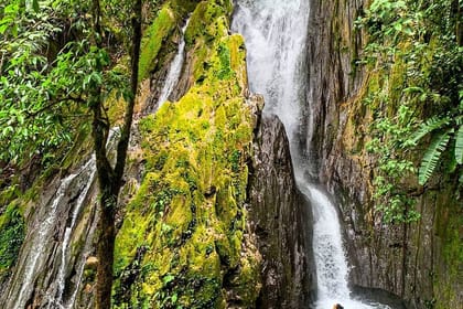 Tin-06 : Nature’s Oasis – Honolulu and Chullachaqui Falls Exploration