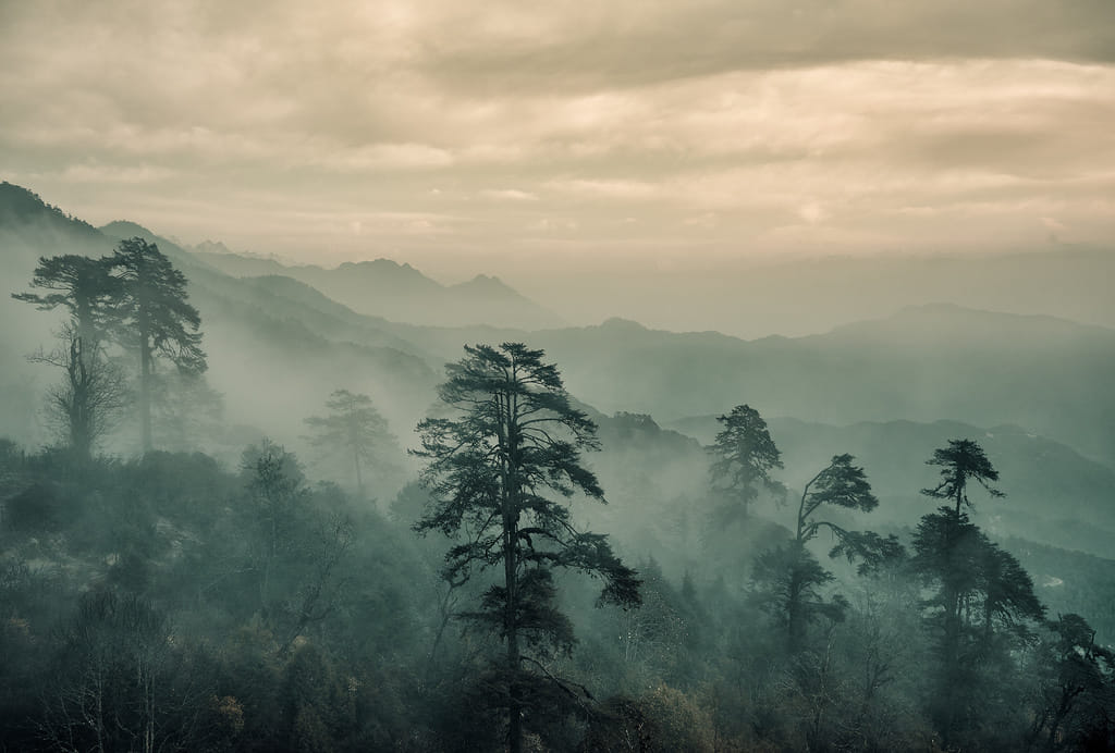 19 Days Mera Peak Climbing & Expedition – One Life-Changing Himalayan Adventure