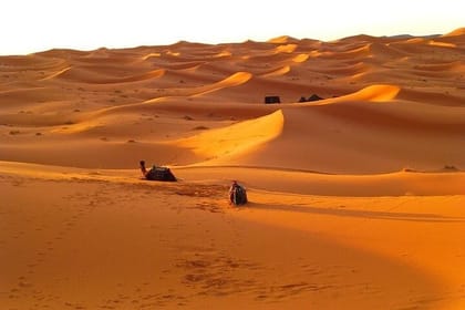 Lunch with Couscous in Merzouga Village with Local Guide