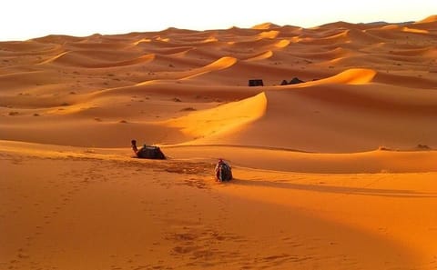 Culinary Walking Tour with Traditional Couscous in Merzouga