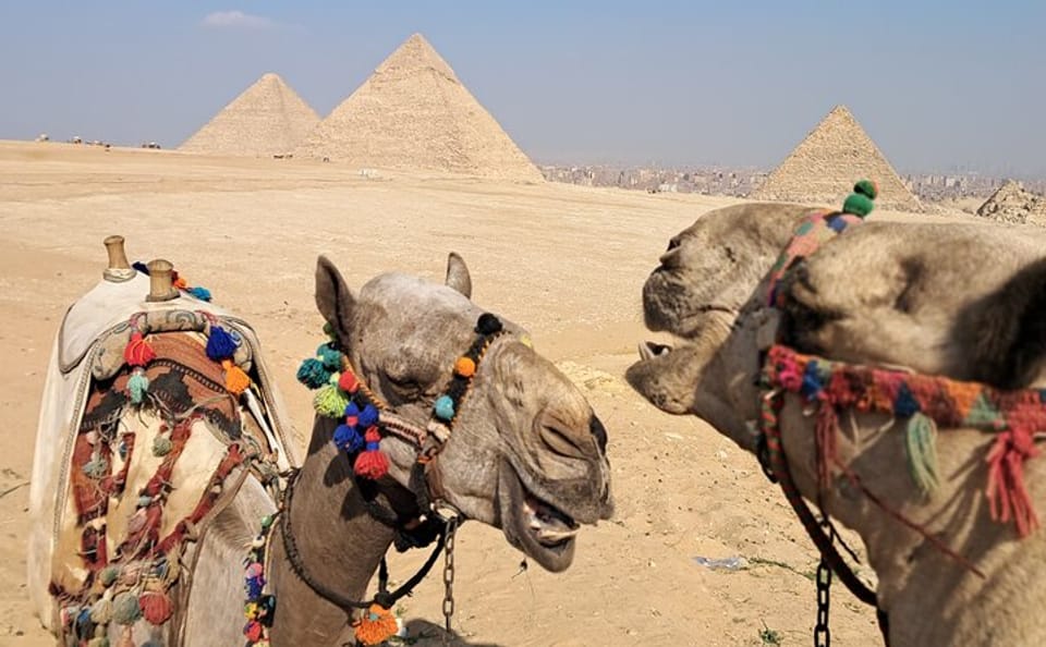 Saqqara and Giza Pyramids Tour with Camel Ride in Cairo