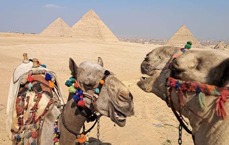 Saqqara & Giza Pyramids Tour with Camel Ride