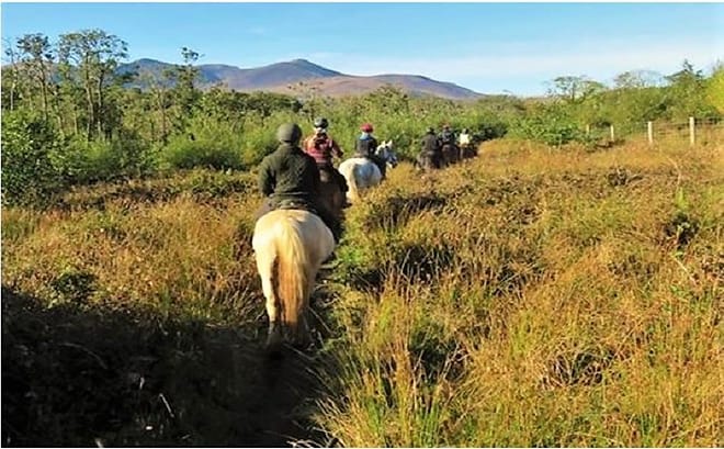 Killarney National Park horseback ride. Kerry. Guided. 3 hours. 8