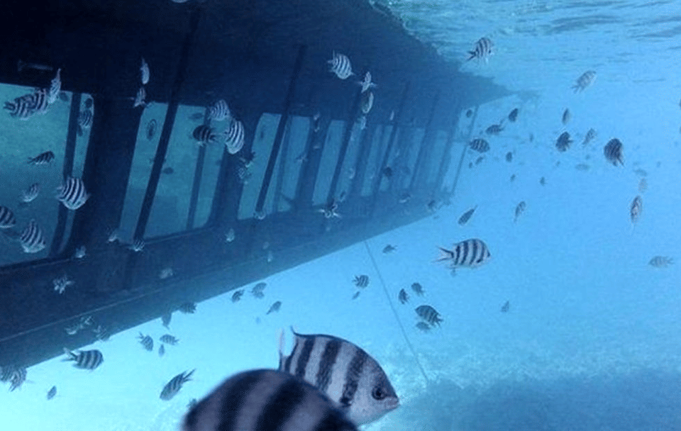 Semi-Submarine Coral Reef Tour in Hurghada, Egypt