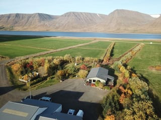 2 Hour Sightseeing Adventure, photo 9