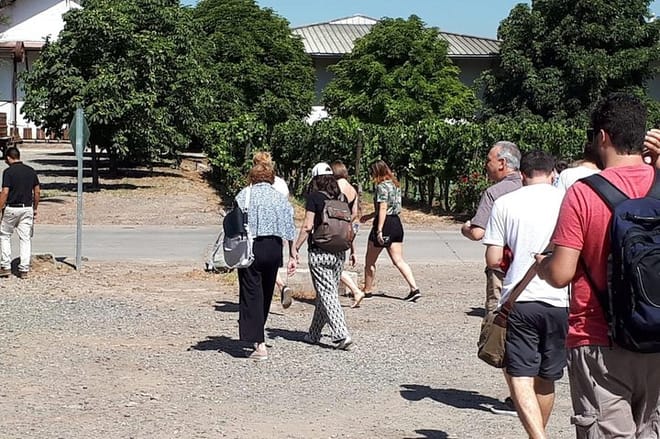 MTO Tour - Half-Day Small-Group Santa Rita Vineyard Tour