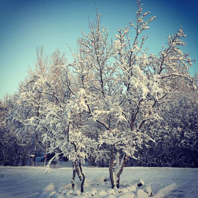 Private Golden Circle & Kerið Crater