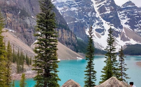 Lake Louise and Moraine Lake Tour from Canmore to Banff