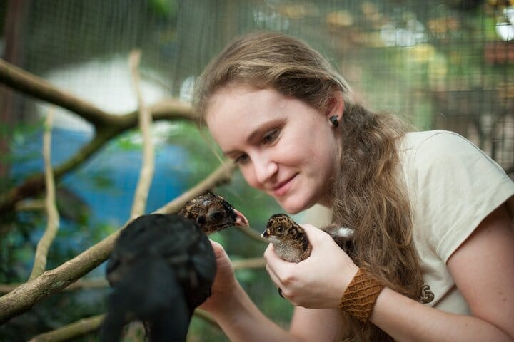 Bird Park