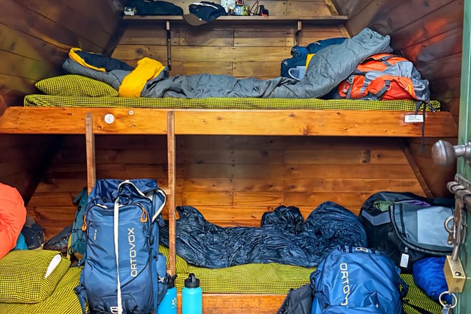 1-Day Mount Kilimanjaro Experience: Marangu Gate to Mandara Hut Day Hike photo 5