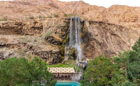 Private Half-Day Tour of Ma'in Waterfalls and Hot Springs from Amman