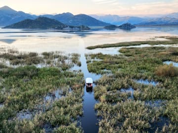 Skadar Lake Sunset Boat Tour: Wildlife, Wine, and Wooden Boat