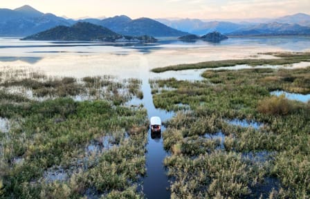 Skadar Lake Sunset Boat Tour with Wildlife Viewing and Wine