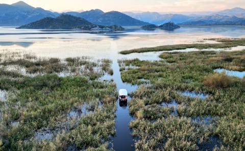 Skadar Lake Sunset Boat Tour with Wildlife Viewing and Wine