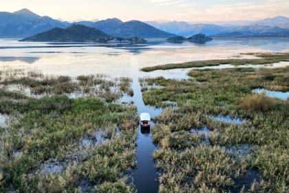 Skadar Lake Sunset Boat Tour: Wildlife, Wine, and Wooden Boat