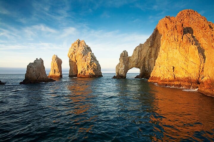 Los Cabos Whale Watching Cruise with Open Bar & Snacks 9