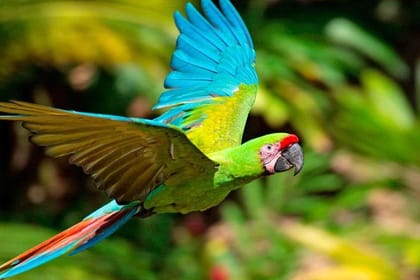 Mayan Eden Eco Park, Chocolate Factory & Transfer