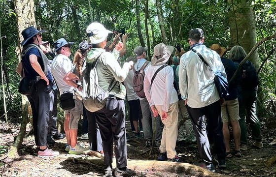 Kakum National Park Private Shore Excursion