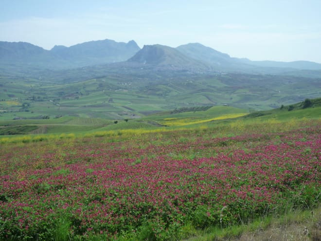 Campagna