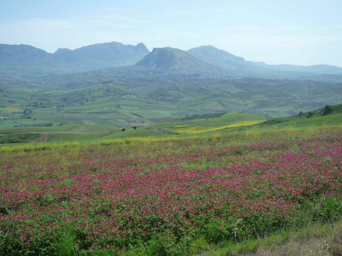 Campagna