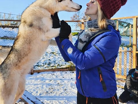 Private Adventure! Arctic Odyssey: Huskies and the Aurora Borealis!, photo 19