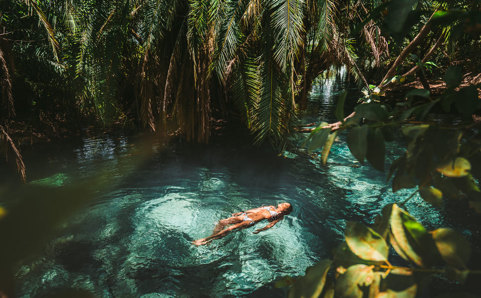 From Arusha: Kikuletwa (Chemka) Hot Springs Day Tour