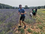 Live a real and unique experience in a lavender field 9