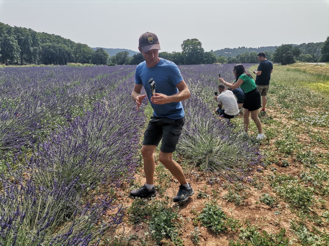 Live a real and unique experience in a lavender field 9